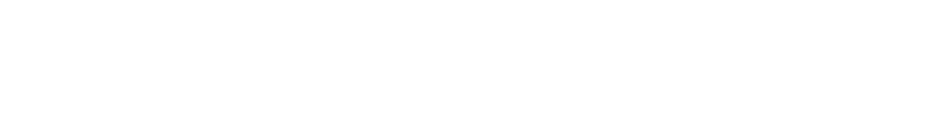 Onda decorativa datos